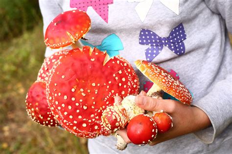 Is it possible to develop a dependency on magic mushrooms